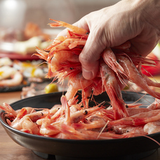 レグセントジョイラー株式会社のプレスリリース画像4