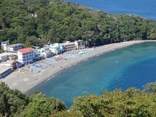 沼津市役所のプレスリリース画像1