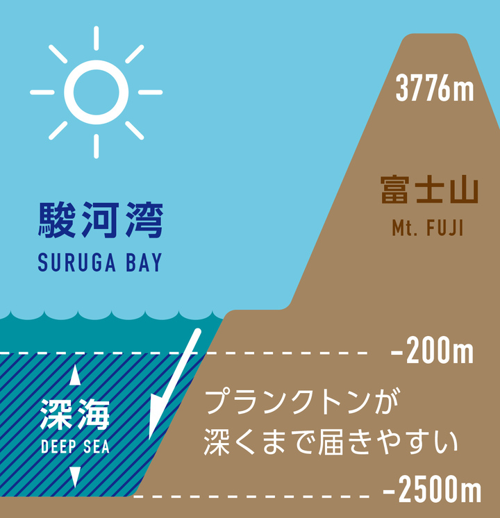 静岡県沼津市 深海魚を探検隊風パロディー動画でpr 深海魚の謎につつまれたまち 公開 沼津市役所のプレスリリース 静岡県沼津市 深海魚を探検隊風パロディー動画でpr 深海魚の謎につつまれたまち 公開 沼津市役所のプレスリリース