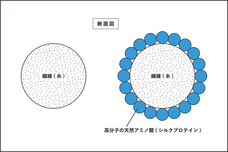 株式会社　and STANDARDのプレスリリース画像5