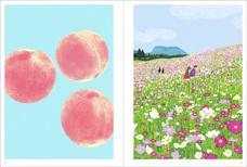 株式会社玄光社のプレスリリース画像5