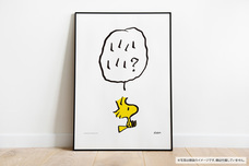 株式会社玄光社のプレスリリース画像5