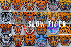 SLOWTIGERのプレスリリース画像6