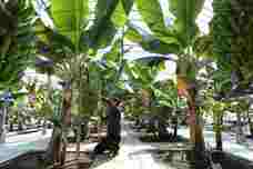 YESNEWSのプレスリリース画像2