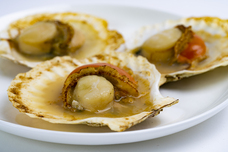 伊豆半島合同会社のプレスリリース画像5