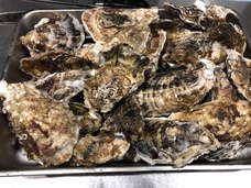 目から鱗のプレスリリース画像1