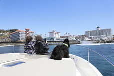 リビエラグループのプレスリリース画像2