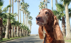 リビエラグループのプレスリリース画像5