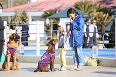 リビエラグループのプレスリリース画像3