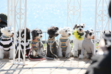 リビエラグループのプレスリリース画像7