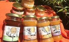 リビエラグループのプレスリリース画像4