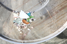 リビエラグループのプレスリリース画像6