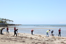 リビエラグループのプレスリリース画像3