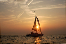 リビエラグループのプレスリリース画像2