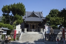 リビエラグループのプレスリリース画像8