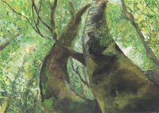 ブリヂストンサイクル株式会社のプレスリリース画像7