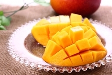 株式会社サジェスコム(ベジターレ)のプレスリリース画像2