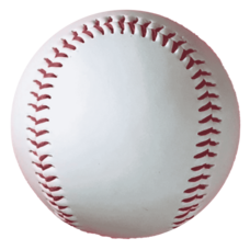 丸井織物株式会社のプレスリリース画像1