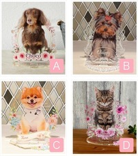 ティーエスアート株式会社のプレスリリース画像4