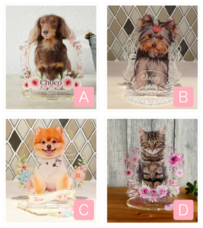 ティーエスアート株式会社のプレスリリース画像2