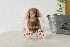 ティーエスアート株式会社のプレスリリース画像3