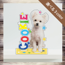 ティーエスアート株式会社のプレスリリース画像1