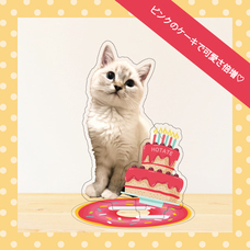 ティーエスアート株式会社のプレスリリース画像2