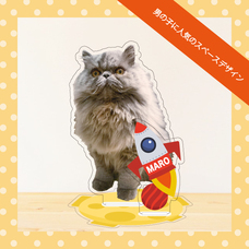 ティーエスアート株式会社のプレスリリース画像5