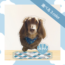 ティーエスアート株式会社のプレスリリース画像6