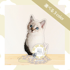 ティーエスアート株式会社のプレスリリース画像7