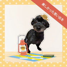 ティーエスアート株式会社のプレスリリース画像8