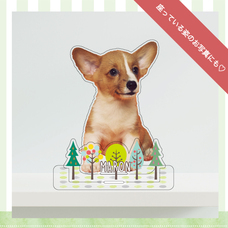 ティーエスアート株式会社のプレスリリース画像3