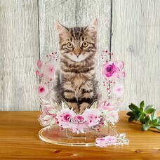 ティーエスアート株式会社のプレスリリース画像1