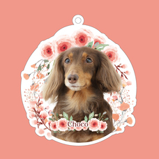 ティーエスアート株式会社のプレスリリース画像3