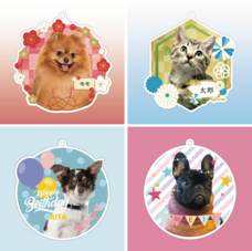 ティーエスアート株式会社のプレスリリース画像5