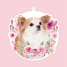 ティーエスアート株式会社のプレスリリース画像2