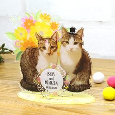 ティーエスアート株式会社のプレスリリース画像1