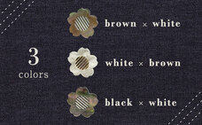 ティーエスアート株式会社のプレスリリース画像1