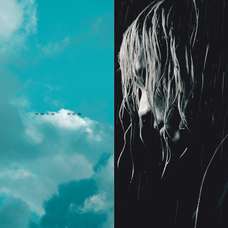 strophのプレスリリース画像1