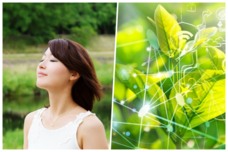 ツ  ヤン  シンのプレスリリース画像9