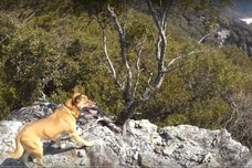 はしもと農園株式会社のプレスリリース画像5