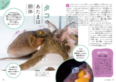 株式会社大和書房のプレスリリース画像10