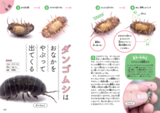 株式会社大和書房のプレスリリース画像8