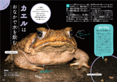 株式会社大和書房のプレスリリース画像5