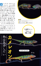 株式会社大和書房のプレスリリース画像9