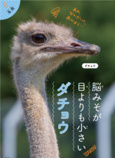 株式会社大和書房のプレスリリース画像7