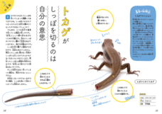 株式会社大和書房のプレスリリース画像2