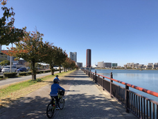 株式会社シュガープラスのプレスリリース画像2