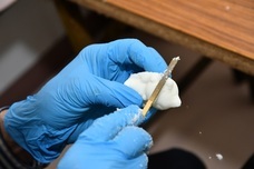 株式会社シュガープラスのプレスリリース画像2