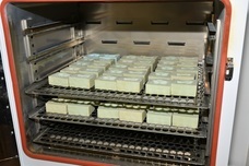 株式会社シュガープラスのプレスリリース画像3